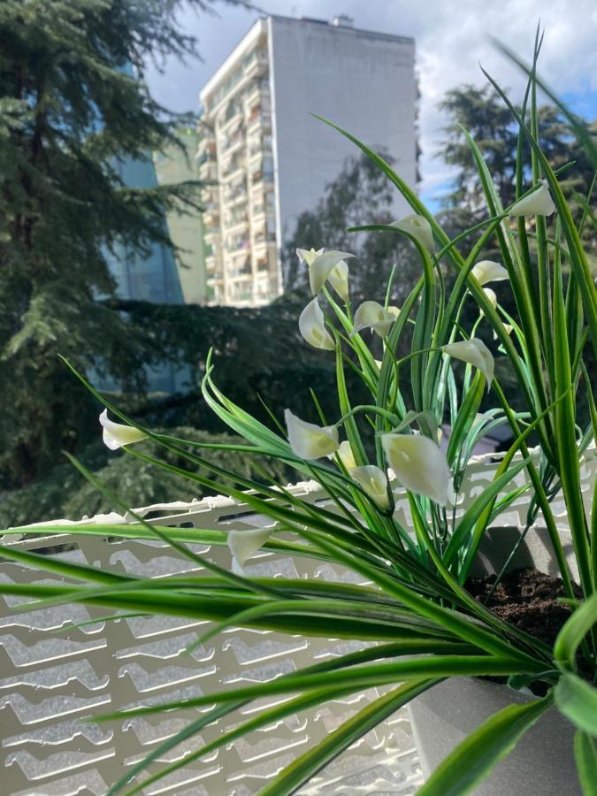 Jonexh Appartement Tirana